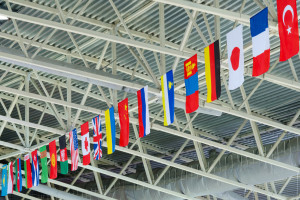 international flags
