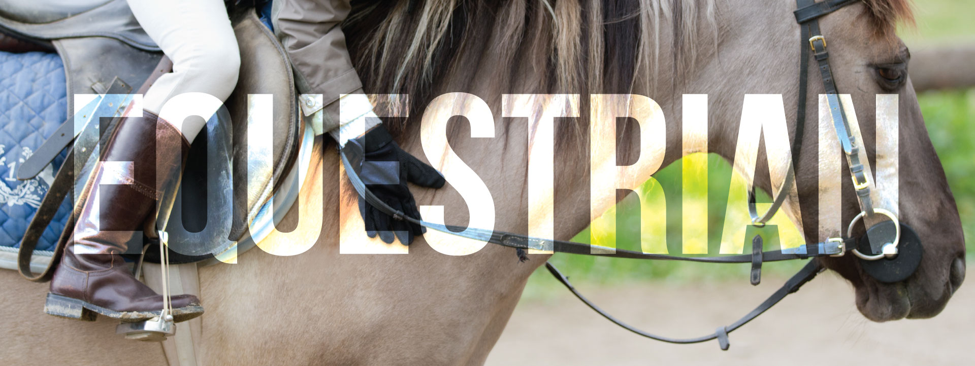 Equestrian Program